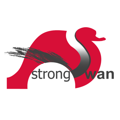 logo strongswan